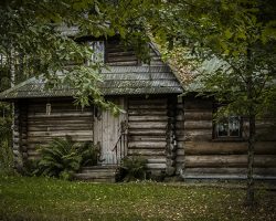 chatka w lesie galeria zdjęć